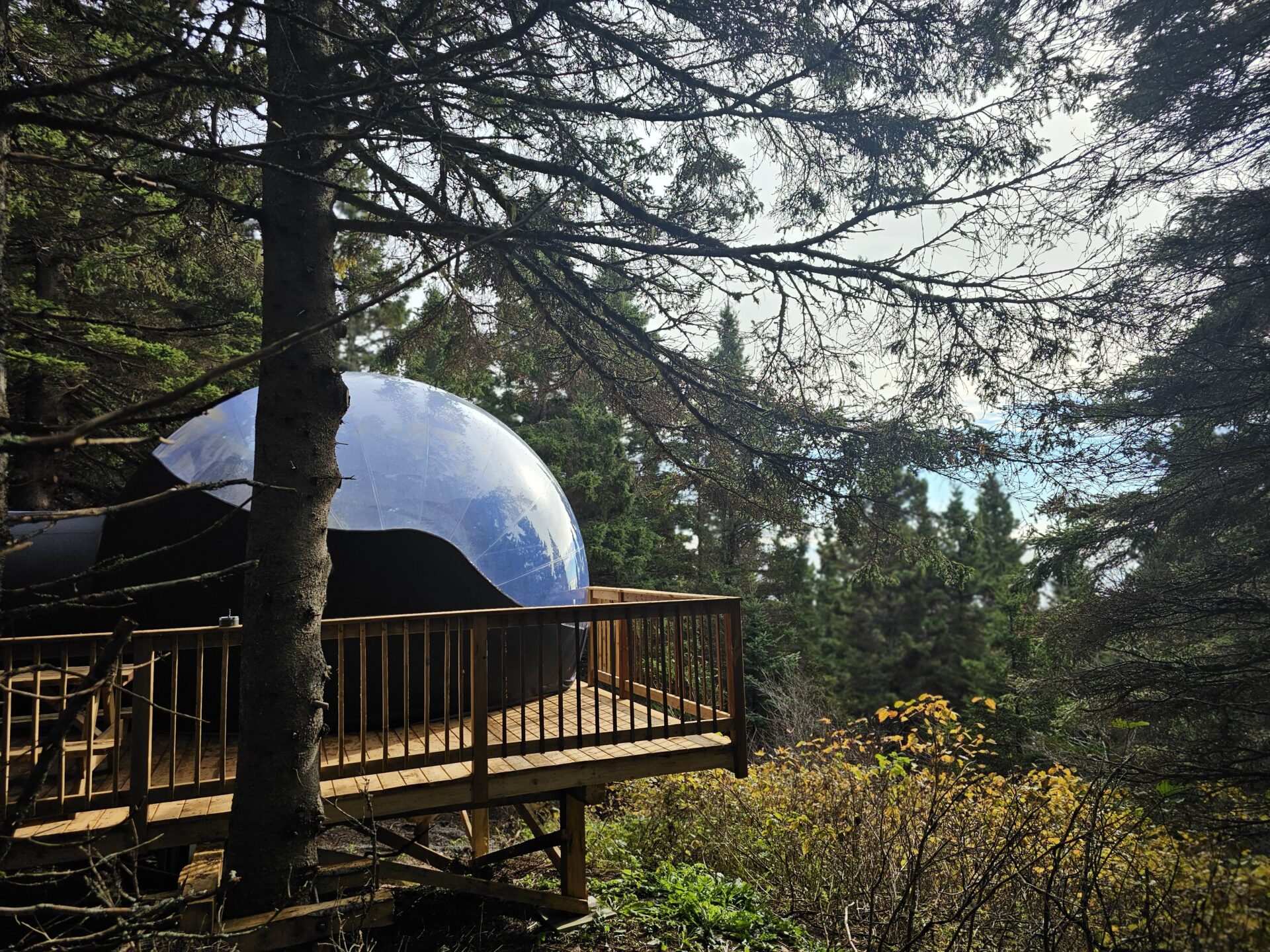 activité en nature au Québec