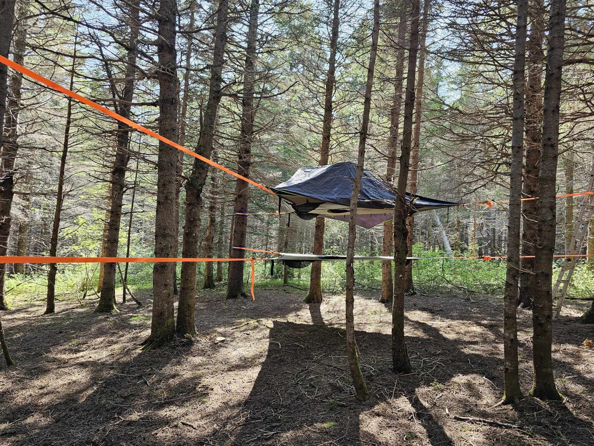 experience-nature-quebec-folies-boreales-ete.jpg