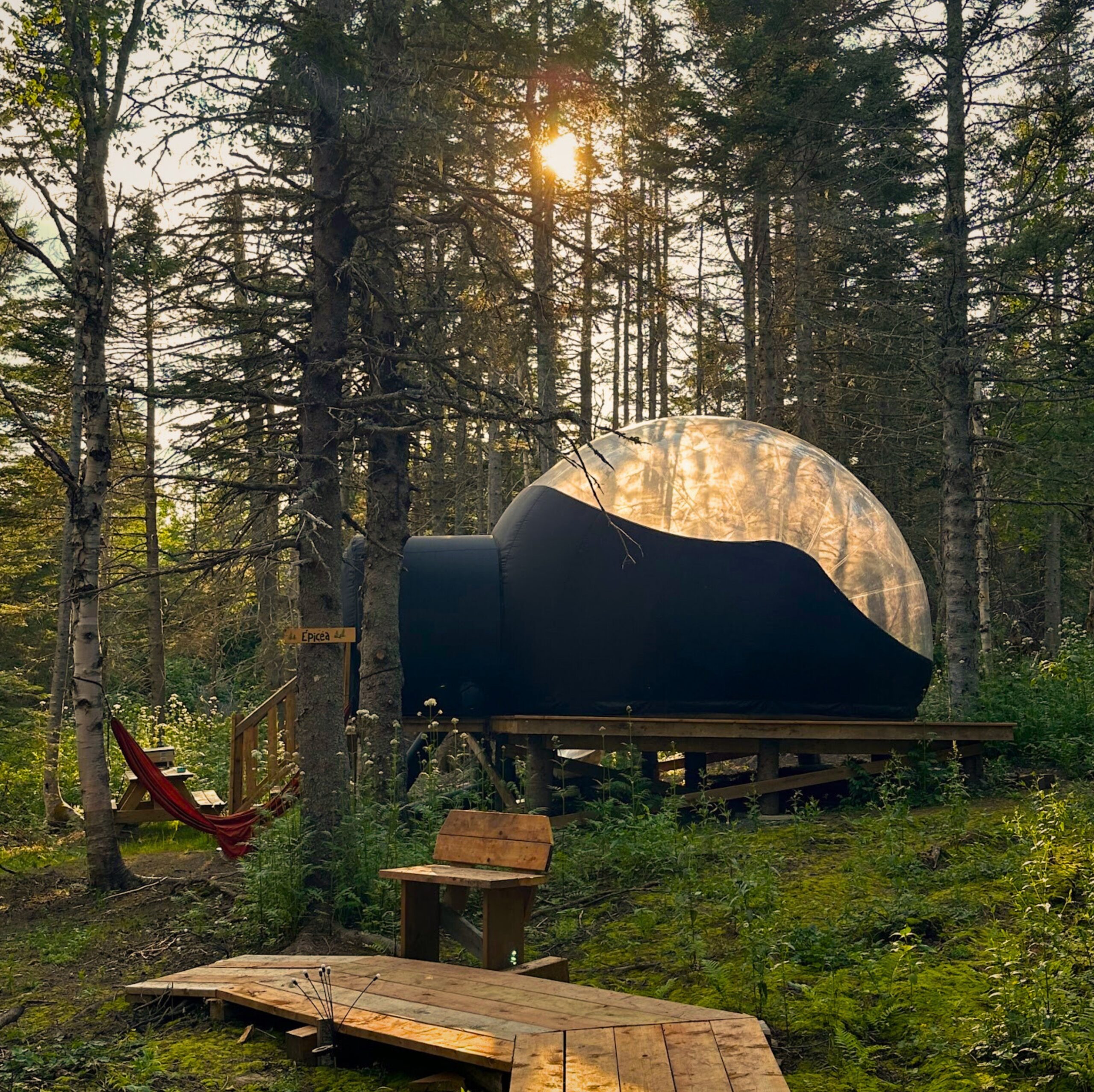 Bulle Épicea - Hébergement familial entouré d'épinettes blanches en Gaspésie
