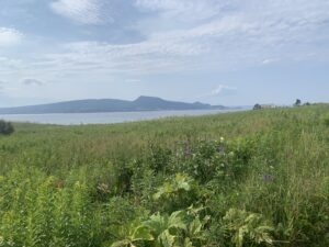 quoi-faire-perce-gaspesie-famille