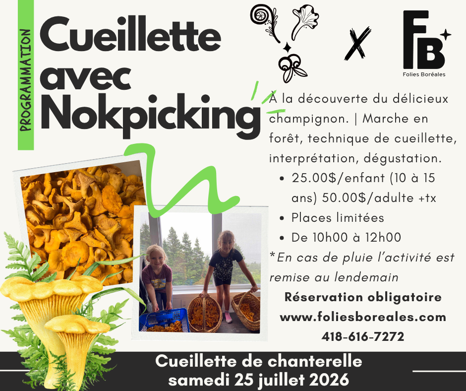 atelier de cueillette de chanterelle